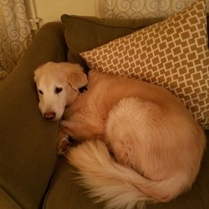 Meet your Posher, Cynthia